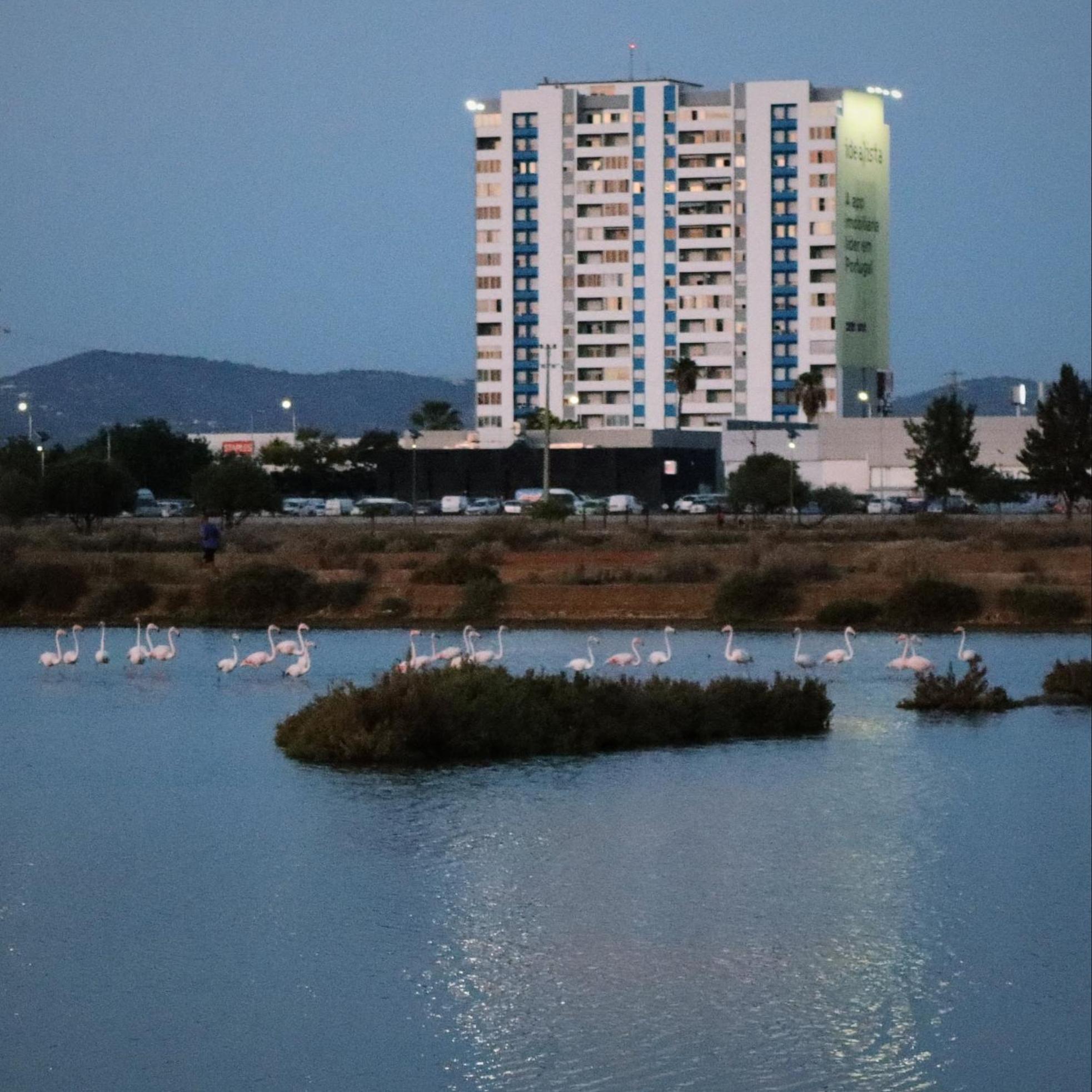 Sea View Apartment FAO Kültér fotó